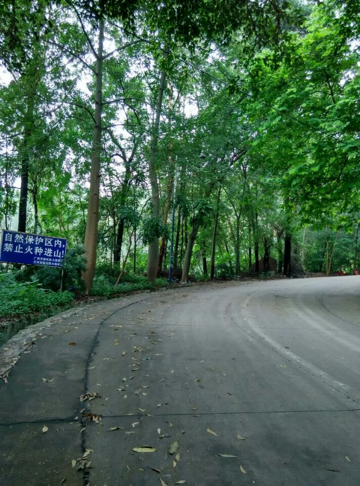 厂区实景